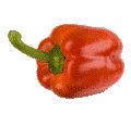 Bio papriky 2ks